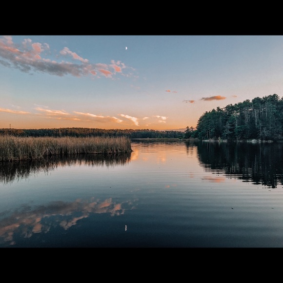 Meet your Posher, Renée - Picture 5 of 5